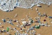 Plastik wird am Strand angespült
